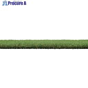 IRIS 107989 防草人工芝 2m×5m BP-3025R 1枚 ▼678-9550