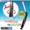 アストロプロダクツ ワークライト AP COB充電式フレキシブルワークライト WL905 2005000009051 1個 ■▼697-0361 【送料都度見積...