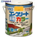 ニッぺ 水性コンクリートカラー 2L イエロ- HPT210-2 4976124091018 1缶 ▼859-8603