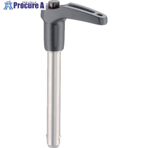 HALDER ボールロックピンセルフロッキングL形グリップ付 ステン析出硬化 ピン20×90 22350.0193 1個 ■▼105-7437 【送料都度見積】