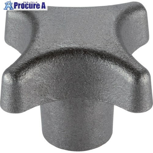 HALDER パームグリップ DIN6335、鋳鉄 形状C 24620.0240 1個 ■▼107-8766 【送料都度見積】