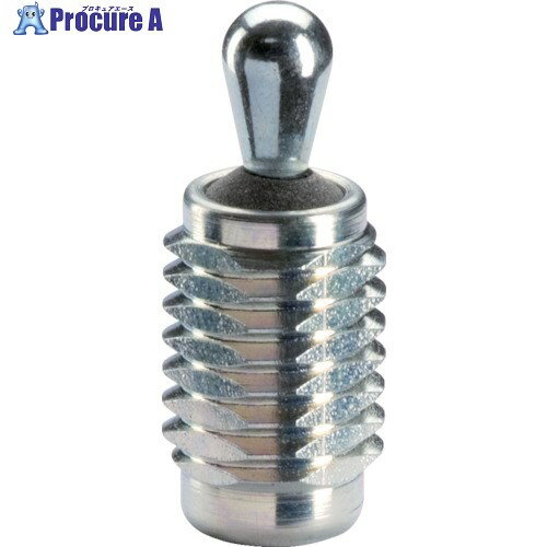 HALDER スティールばね付プレッシャー・ピン オネジ、SS、シール付 ねじ径M12 22150.0420 1個 ■▼128-7438 【送料都度見積】