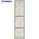 CLOVER ストリップ定規 カラーライン30cm 57-928 5個 ■▼166-3173 【送料都度見積】