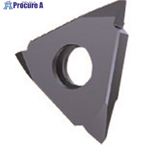 GUHRING 溝入れ工具 インサート 外径ねじ切り さらい刃なし メートルねじ用 FIREコート GG305.TM00.300.AA.04.R 25654 1...