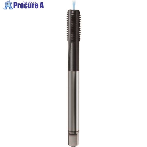 GUHRING メートル並目ねじ用タップ レギュラTiCNコート M18×2.5 4448 18.000 1本 ■▼181-5711 【送料都度見積】