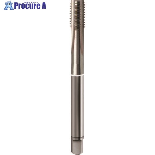 GUHRING 鋳鉄、アルミ用メートル並目ねじ用タップ レギュラ M2.5×0.45 4452 2.500 1本 ■▼181-5727 【送..