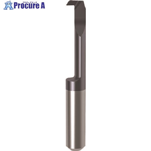 GUHRING 칩 󥵡 ²ù nanoA GT106.3257.020.17.60.L 25735 6.014 1 181-9...