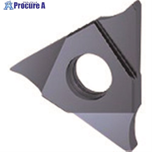 GUHRING 溝入れ工具 インサート 内外径溝入れ加工用 FIREコート GE305.0200.020.BA.04.N 25605 12.003 2本 ■▼1...