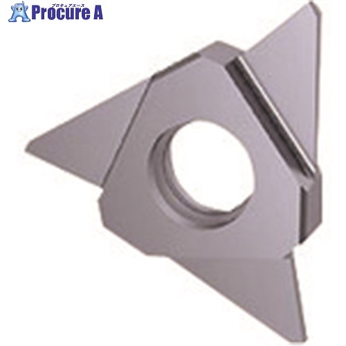 GUHRING 溝入れ工具 インサート 突切り加工 TiCNコート GZ305.0100.000.AA.04.N 25642 12.001 2本 ■▼182-2...