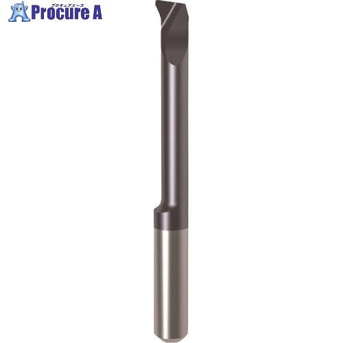 GUHRING 溝入れ工具 インサート 内径加工用 nanoAコート GJ104.2319.010.07.20.L 25093 4.002 1本 ■▼182-3...