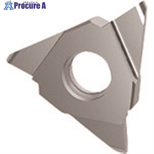 GUHRING 溝入れ工具 インサート 内外径フルR溝入れ加工用 GE305.0160.080.AA.04.N 25615 12.007 2本 ■▼182-5331 【送料都度見積】