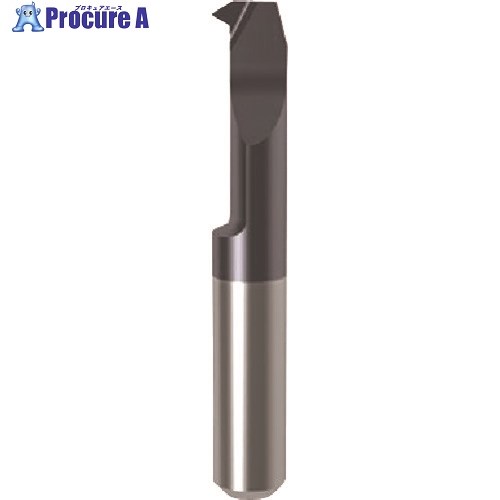 GUHRING 溝入れ工具 インサート 内径ねじ切り さらい刃なし メートル並目ねじ用 nanoAコート GG106.TM10.150.37.85.L 2576...