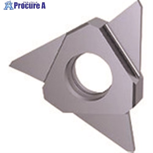 GUHRING 溝入れ工具 インサート 突切り加工 TiCNコート GZ305.0100.080.AA.04.L 25649 12.001 2本 ■▼182-8...