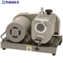 TGK 真空ポンプ 平台 USW-20 単相 100V 50Hz 357-64-51-08 1台 ■▼183-4072 【送料都度見積】