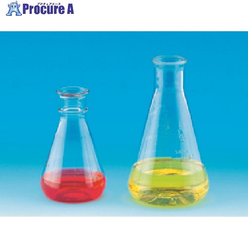 TGK 三角フラスコ 250mL PC製 656-01-32-03 1個 ■▼183-4459 【送料都度見積】