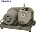 TGK 真空ポンプ 平台 UST-300 単相 100V 50Hz 357-64-50-13 1台 ■▼183-5608 【送料都度見積】