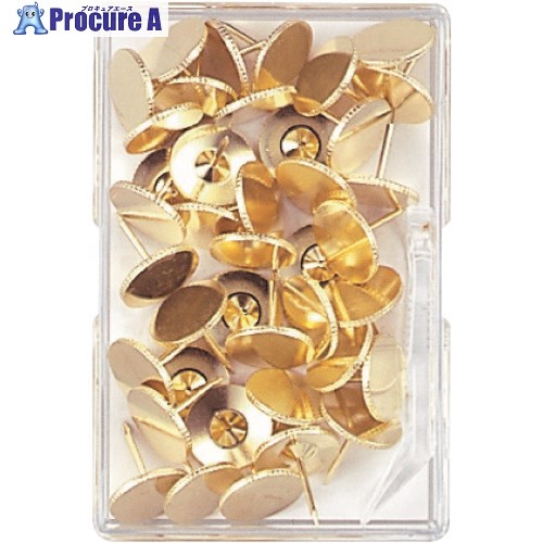 mitsuya 二重画鋲足長 40本 M10154 NL-01 1パック ▼195-1883