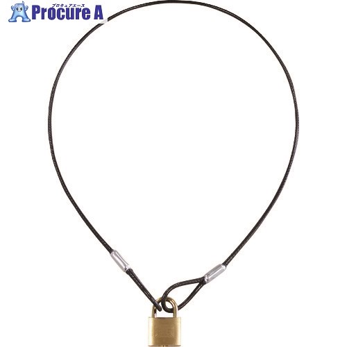 SOL ワイヤー&パドロックシリンダー錠タイプ 1040mm 1280-30L 1個 ▼195-2562