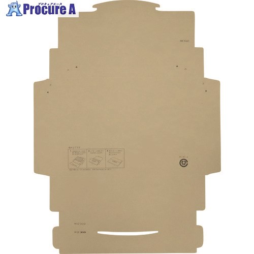 キングコーポ ポストインカートン A4 50枚入 190431 1箱 ▼208-0667