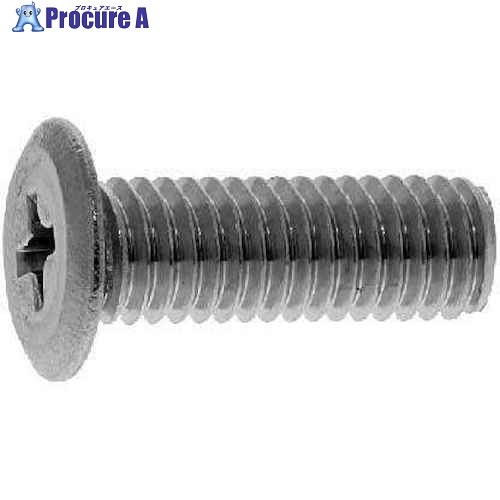 SUNCO GBSUS(＋)スリムヘッド小ネジ 4×30 (300本入) 00-02-A300-0040X0300-07 1箱 ■▼229-5384 【送料都度見積】