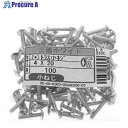 SUNCO 三価ホワイト(+)トラス小ネジ小袋100入り 5×16 (100本入) 00-00-K003-0050X0160-03 1箱 ■▼229-7234 ...