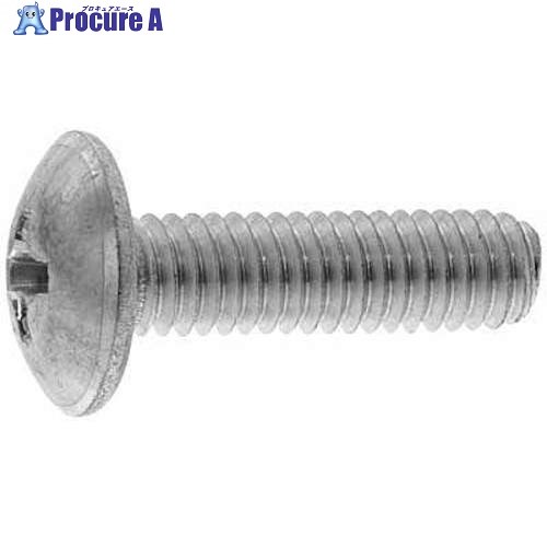 SUNCO ユニクロ(＋)トラス小ネジ 6×45 