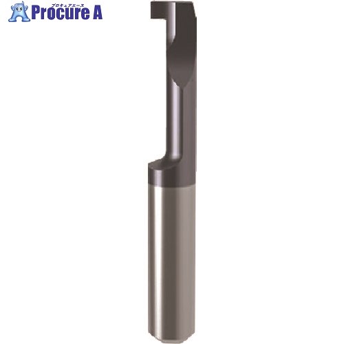 GUHRING 溝入れ工具 インサート 内径溝入れ加工用 nanoAコート GE104.0150.000.22.40.R 25126 4.026 1本 ■▼23...