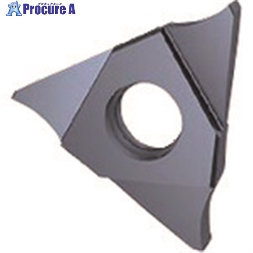 GUHRING 溝入れ工具 インサート 内外径溝入れ加工用 FIREコート GE305.0060.000.BA.04.N 25601 12.002 2本 ■▼2...