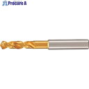 GUHRING ハイスドリル ショート/スタブ TiNコート 13mm 512 13.000 1本 ■▼232-7593 【送料都度見積】