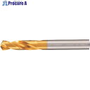 GUHRING ハイスドリル ショート/スタブ TiNコート 4.8mm 653 4.800 1本 ▼232-9342