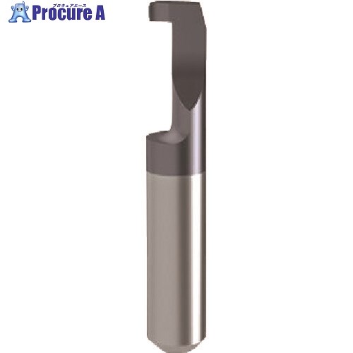 GUHRING 溝入れ工具 インサート 内径溝入れ加工用 nanoAコート GE106.0100.000.42.60.R 25750 6.007 1本 ■▼23...