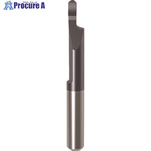 GUHRING 칩 󥵡 ü̥եRù nanoA GA104.0100.050.17.60.L 25199 4.002 1...