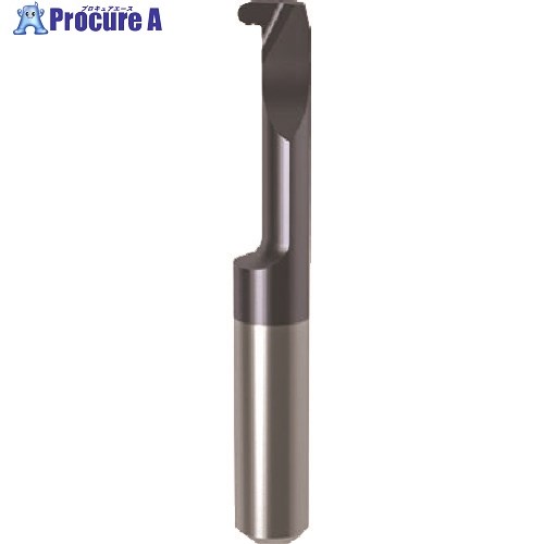 GUHRING 溝入れ工具 インサート 内径フルR溝入れ加工用 nanoAコート GE104.0100.050.27.40.R 25134 4.008 1本 ■...