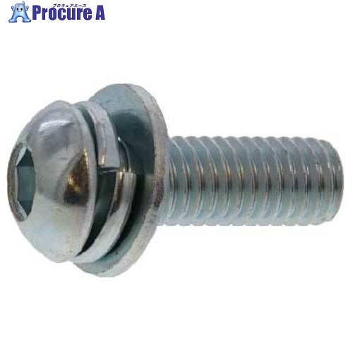 SUNCO 三価ブラック WAボタン-SPタイプ 8 X 30 (100本入) A0-00-8730-0080-0300-04 1箱 ■▼241-1893 【送料都度見積】