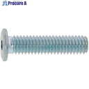 SUNCO BK ステンレス 極薄・NSローヘッド 4×16 (1000本入) A0-02-L300-0040-0160-08 1箱 ■▼241-2933 【送...