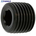 SUNCO SUS316L テーパープラグ 浮き 1/4 (100本入) A0-12-5700-8020-0000-00 1箱 ■▼241-3004 【送料都度...