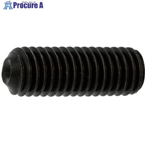 SUNCO BK ステンHS(クボミ先 8×25 (500本入) A0-02-5000-0080-0250-08 1箱 ■▼241-8620 【送料都度見積】