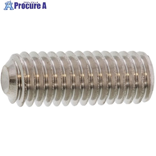 SUNCO ステンHS(日産ネジ くぼみ先 20×20 (100本入) A0-02-500N-0200-0200-00 1箱 ■▼242-8108 【送料都度見積】