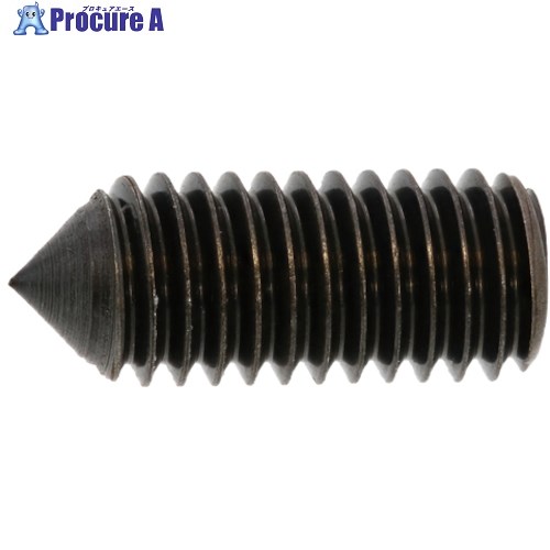 SUNCO 三価ブラック HS(ナガイ トガリ先 3×8 (1000本入) A0-00-502M-0030-0080-04 1箱 ■▼242-8664 【送料都度見積】