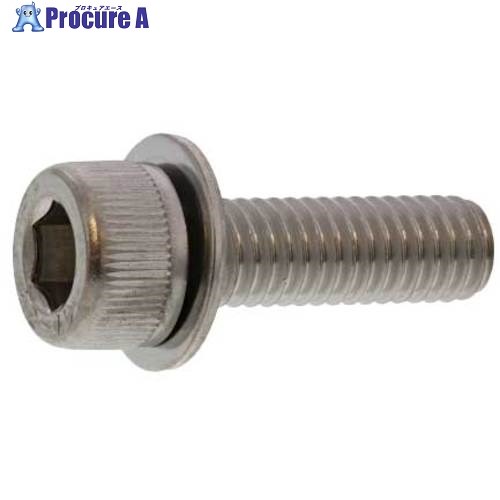 SUNCO Sコート ステンCAP P=1 6×12 (300本入) A0-02-9010-0060-0120-35 1箱 ■▼242-9793 【送料都度見積...