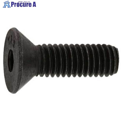 SUNCO サラCAP(UNC1/4×1”1/4(100本入) A0-00-2030-8020-8120-00 1箱 ■▼242-9905 【送料都度見積】