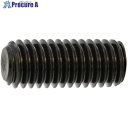 SUNCO 三価ホワイト HS(ナガイ 平先 3×6 (1000本入) A0-00-501M-0030-0060-03 1箱 ■▼243-1672 【送料都度見積】(4)