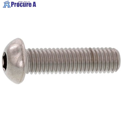 SUNCO BK SUSボタンCAP SSS規格 5×60 (100本入) A0-02-10S0-0050-0600-08 1箱 ■▼243-2674 【送料都度見積】