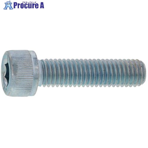 SUNCO MOコート ステンCAP(半 6 X 55 (100本入) A0-02-0000-0060-0550-88 1箱 ■▼243-4922 【送料都度見...