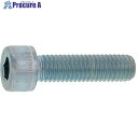 SUNCO ステンCAP(日星精工 16×95 (15本入) A0-02-000C-0160-0950-00 1箱 ■▼243-5816 【送料都度見積】(4)