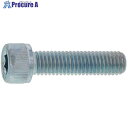 SUNCO ステンCAP(半 5 X 230 (150本入) A0-02-0000-0050-2300-00 1箱 ■▼243-7510 【送料都度見積】