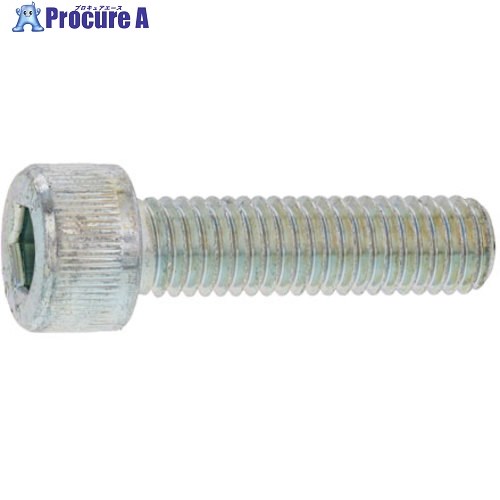 SUNCO CAP(日本ファスナー 10 × 60 (50本入) A0-00-000F-0100-0600-00 1箱 ■▼247-1698 【送料都度見積】