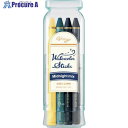 PENTEL 水彩スティック12色ミッドナイトミックス GSS1-12MN 10個 ■▼247-6809 【送料都度見積】