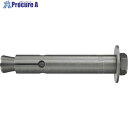 フィッシャー FZA 22×125 M16 D/25 A4 (10本入) 60675 1箱 ■▼248-2388 【送料都度見積】