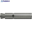 フィッシャー FZA 22×125 M12 I R (10本入) 060770 1箱 ■▼248-2402 【送料都度見積】
